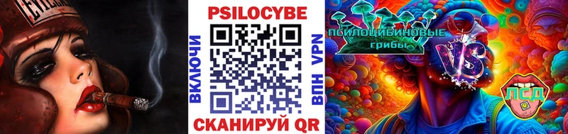 магазин  наркотиков  Бодайбо  Псилоцибиновые грибы Cubensis 